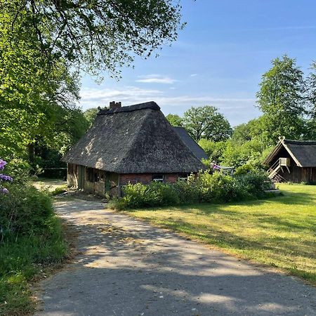 Heidehof Oberhaverbeck Villa Bispingen Esterno foto