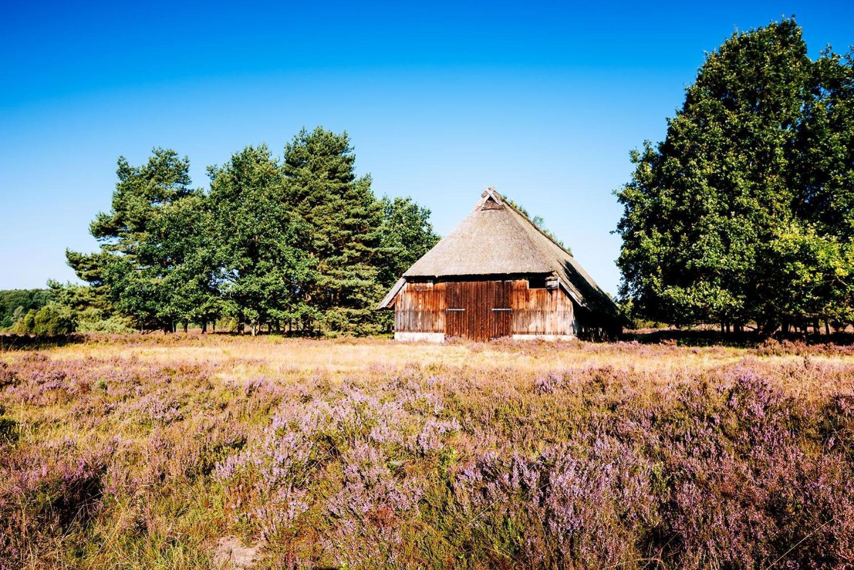 Heidehof Oberhaverbeck Villa Bispingen Esterno foto