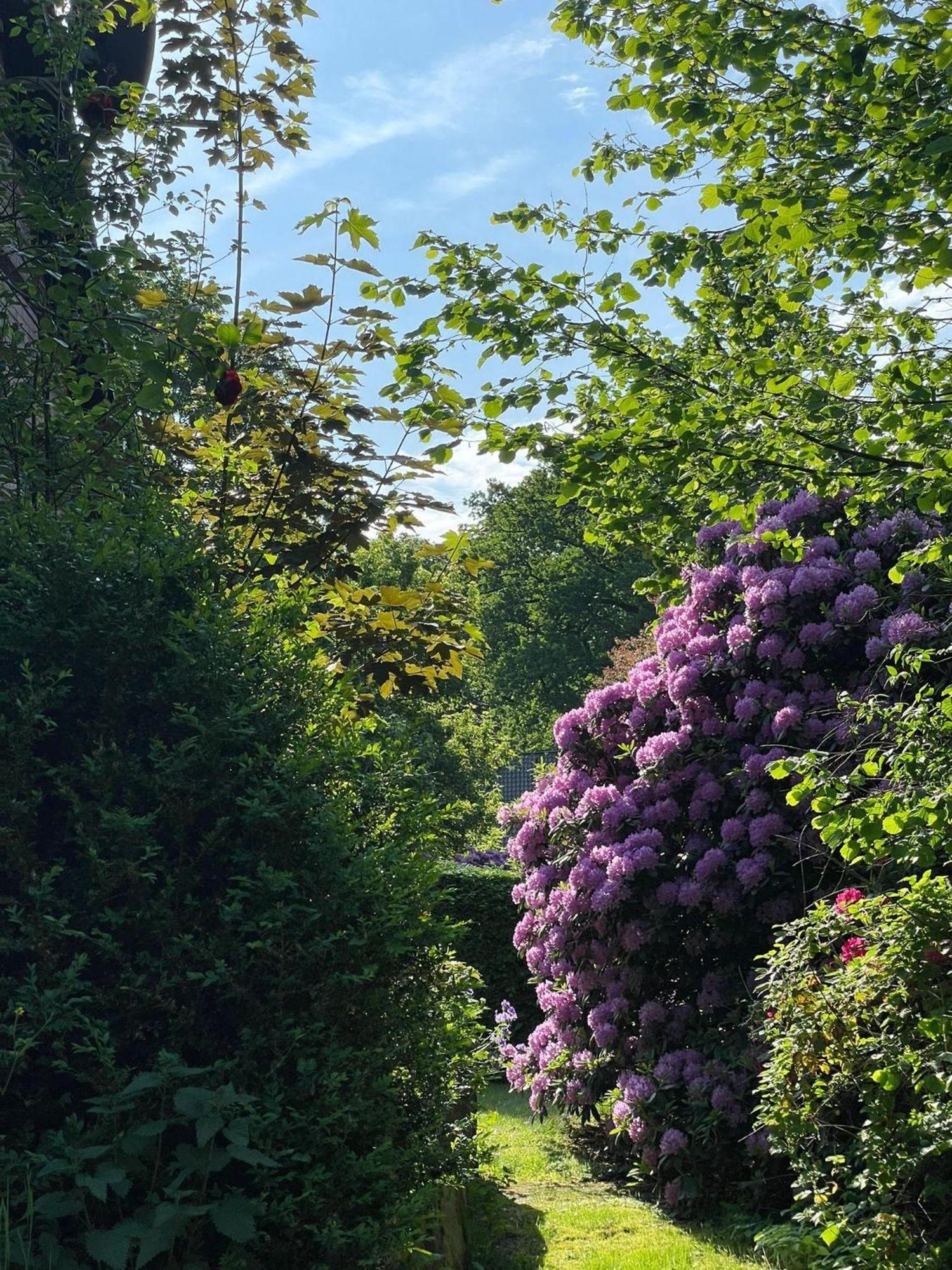 Heidehof Oberhaverbeck Villa Bispingen Esterno foto