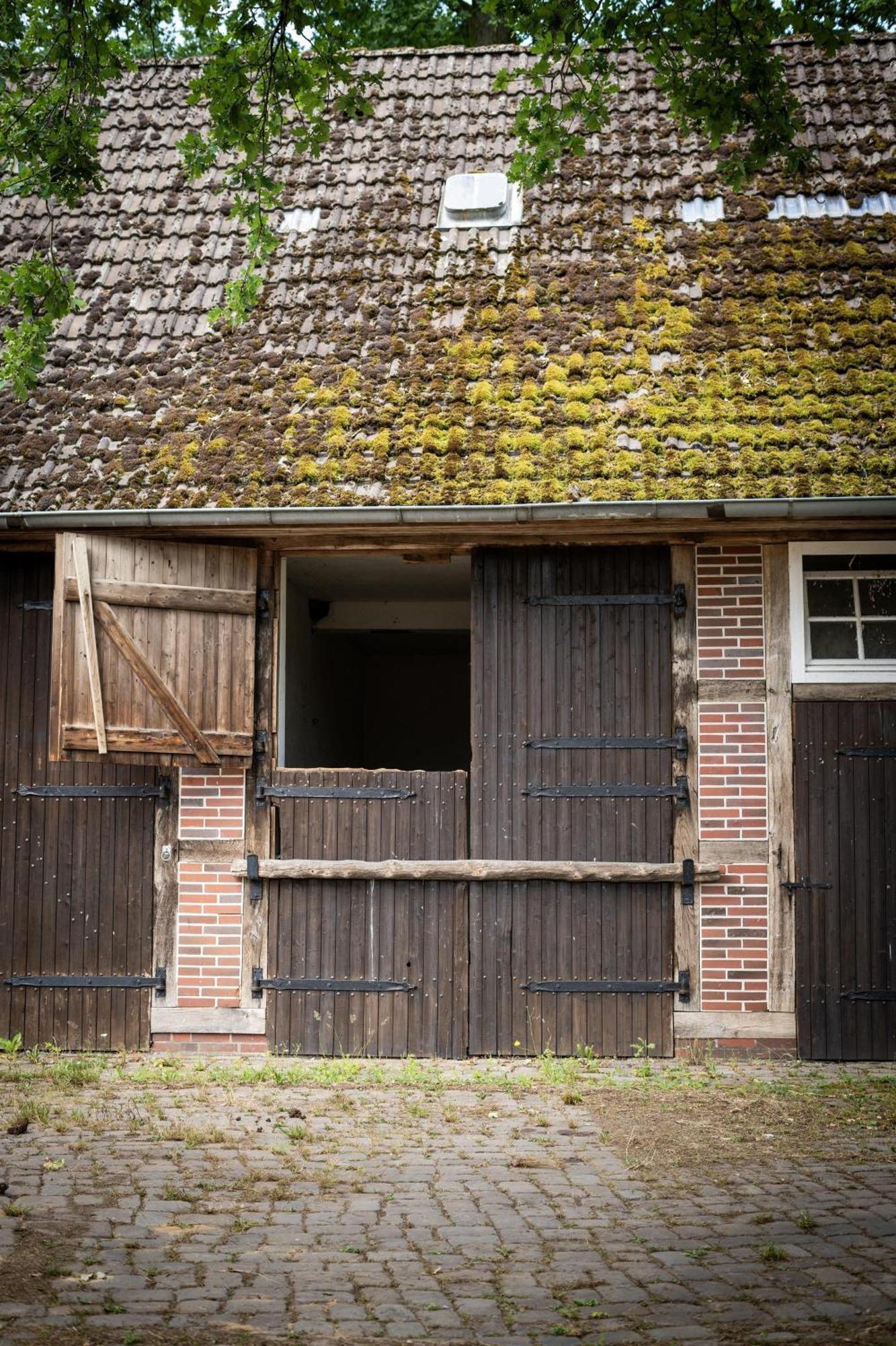 Heidehof Oberhaverbeck Villa Bispingen Esterno foto